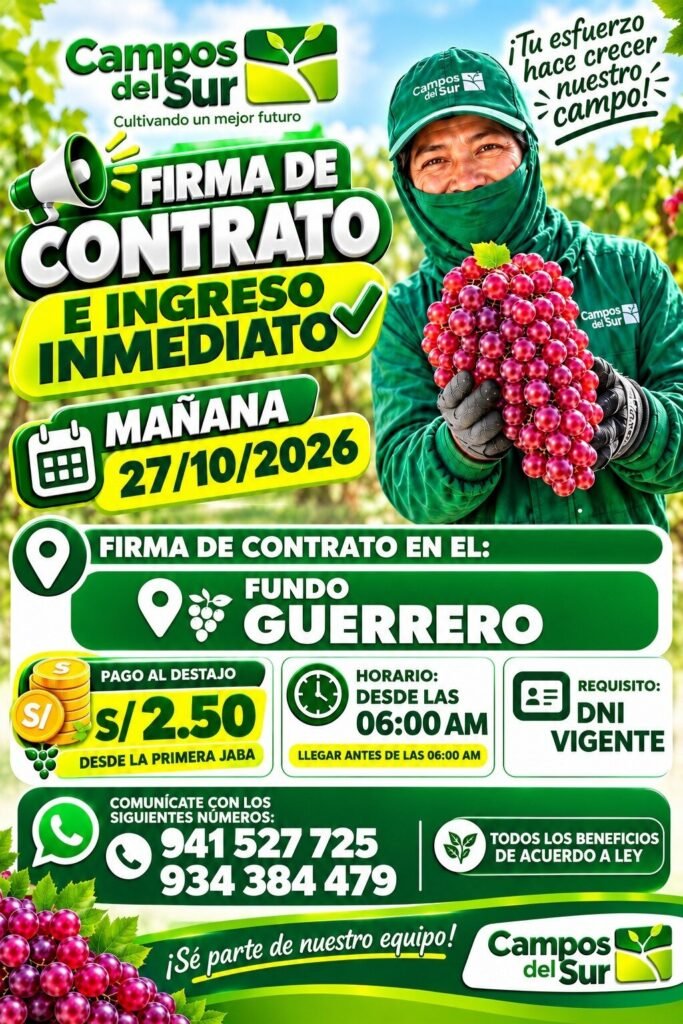 Cosecha de Uva – Firma de Contrato e Ingreso Inmediato – Campos del Sur - Imagen 1