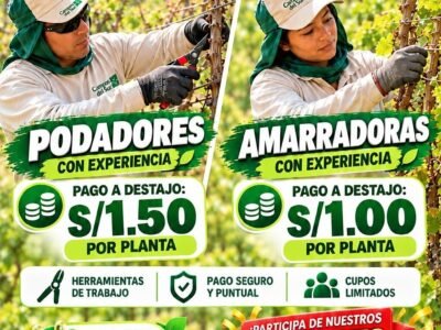 Podadores y Amarradoras – Campos del Sur