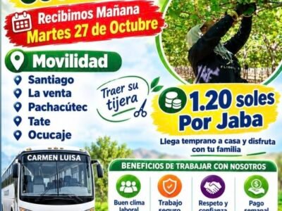 COSECHA Y PACKING DE UVA – AGRÍCOLA CARMEN LUISA – SANTIAGO, ICA
