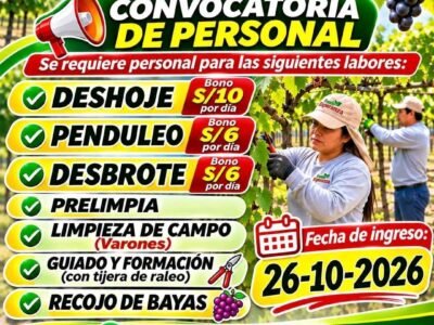 Convocatoria de Personal – Fundo Esperanza (Grupo Vanguard)