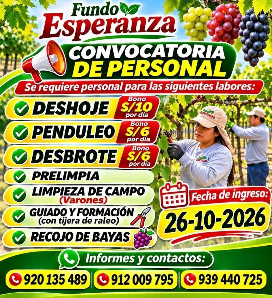 Convocatoria de Personal – Fundo Esperanza (Grupo Vanguard) - Imagen 1
