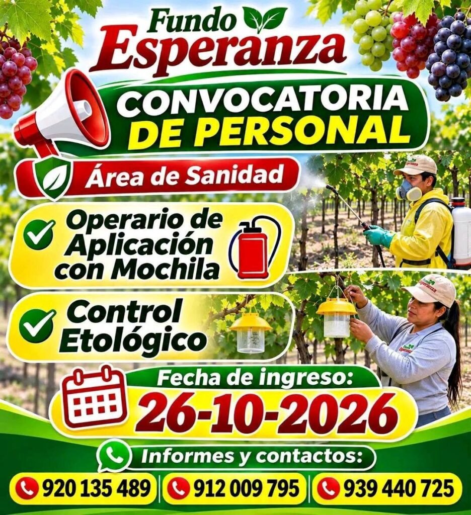 Convocatoria de Personal – Fundo Esperanza (Grupo Vanguard) - Imagen 2