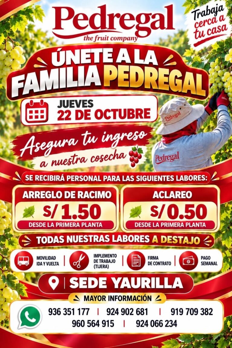 Arreglo de racimo y aclareo de uva – Pedregal (Sede Yaurilla)