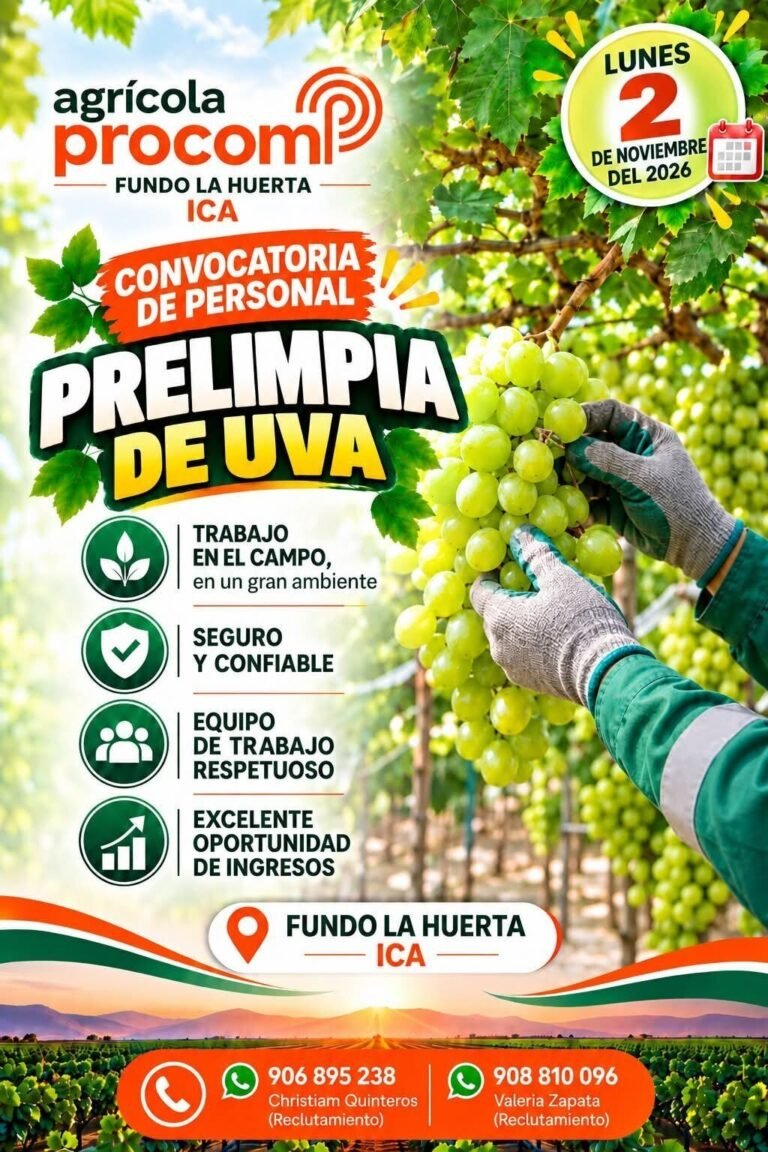 PRELIMPIA DE UVA – AGRÍCOLA PROCOM (ICA)