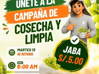 Campaña de cosecha y limpia de uva en Los Aquijes – Manuelita