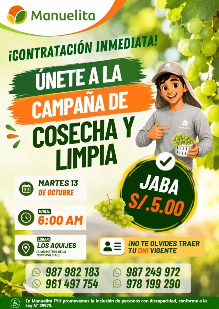Campaña de cosecha y limpia de uva en Los Aquijes – Manuelita - Imagen 1