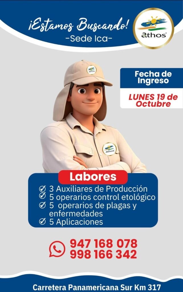 Auxiliares y operarios de campo – Athos – Santiago (Jornal S/73) - Imagen 2