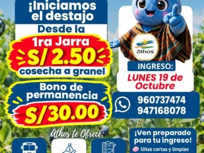Cosechadores de Arándano y Sembradoras – Grupo Athos (Sede Ica)