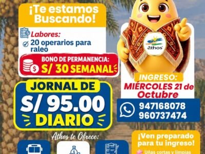 Raleadores de dátil – Grupo Athos – Santiago