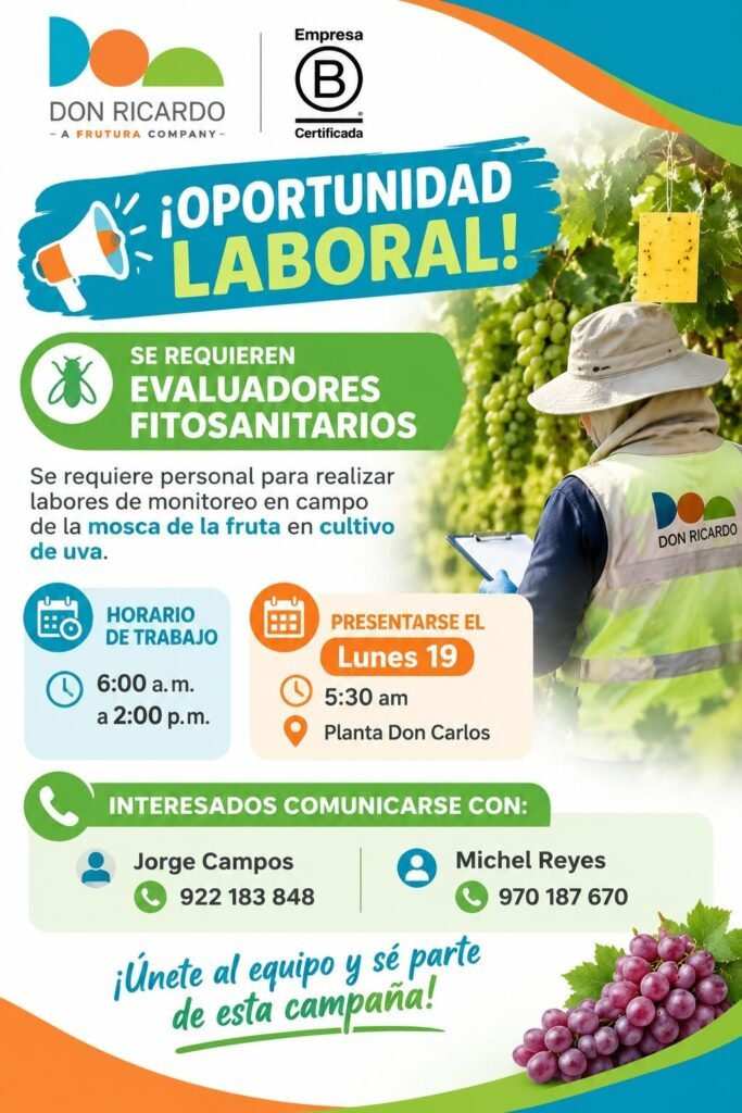 Convocatoria Agrícola Don Ricardo: Evaluadores fitosanitarios, Sanitización Packing y Operario de almacén - Imagen 1