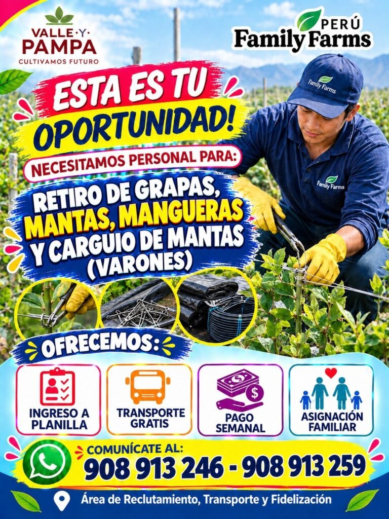 Convocatoria Family Farms: Monitor de aplicación, Evaluador fitosanitario, Operadores y Retiro de grapas y mantas - Imagen 1