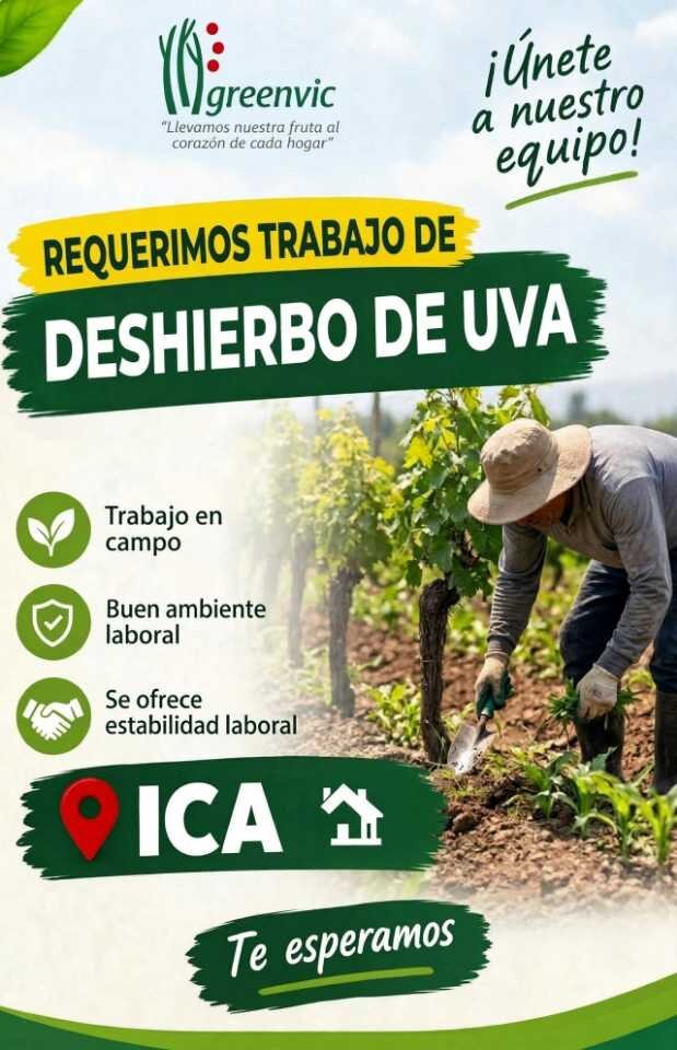 Deshierbo de uva – Greenvic – Salas