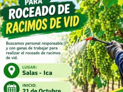 Roceado de racimos de vid – Greenvic – Salas