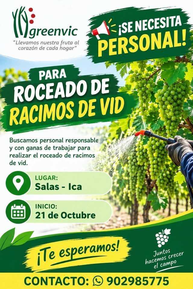 Roceado de racimos de vid – Greenvic – Salas