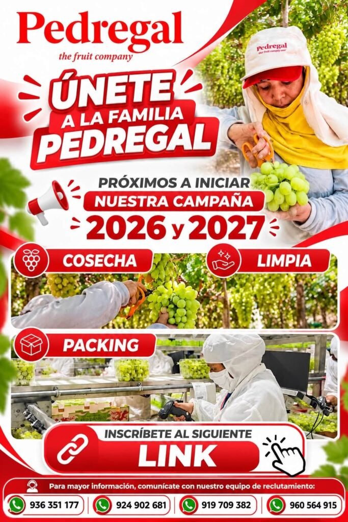 Campaña 2026-2027: Jaberos y Recepción en Packing – Pedregal - Imagen 1