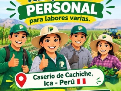Personal para labores varias – Fundo San Jorge – Proagro