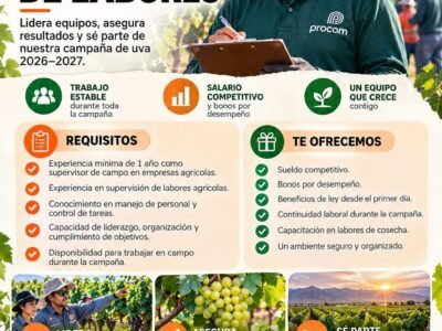 Supervisor de labores – Procom – Subtanjalla