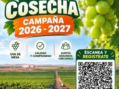 Inicio de Campaña de Cosecha 2026-2027 – Agrícola Procom (Fundo La Huerta)