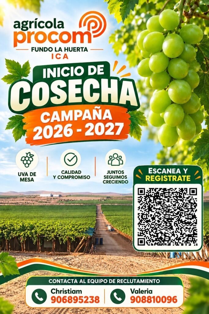 Inicio de Campaña de Cosecha 2026-2027 – Agrícola Procom (Fundo La Huerta) - Imagen 1
