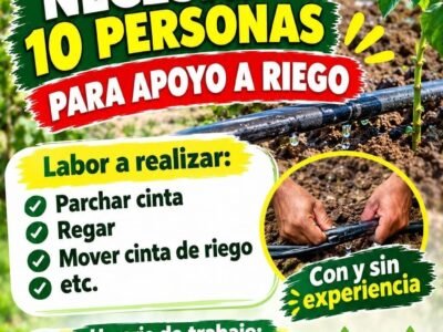 Apoyo a riego, pre-limpia y ajuste de carga – Fundo San Fernando – Santiago