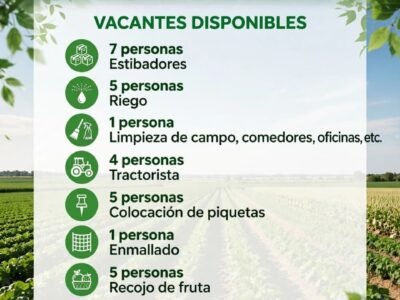Se requiere personal – Grupo Vanguard – Pisco