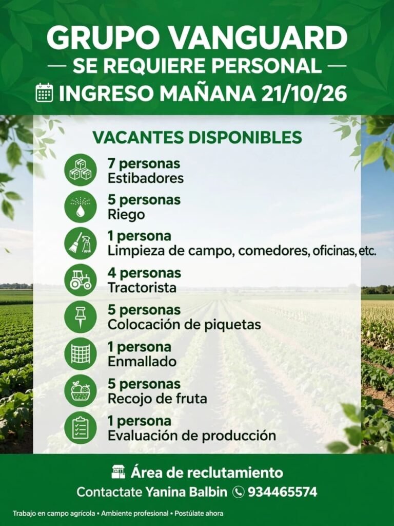 Se requiere personal - Grupo Vanguard - Pisco - Imagen 1