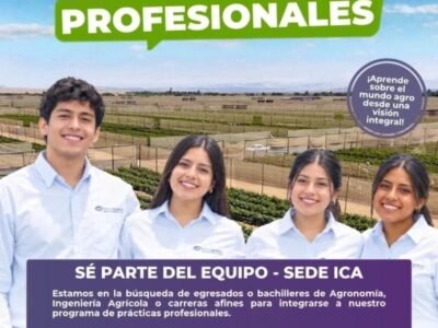 PRÁCTICAS PROFESIONALES – INKA’S BERRIES (ICA)
