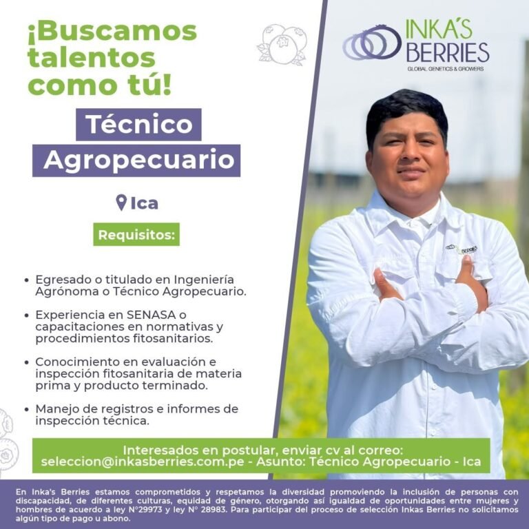 TÉCNICO AGROPECUARIO Y COORDINADOR DE LOTE – INKA’S BERRIES – ICA