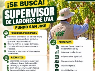 SUPERVISOR DE LABORES DE UVA – IQF DEL PERÚ, FUNDO SAN JOSÉ (SANTIAGO, ICA)