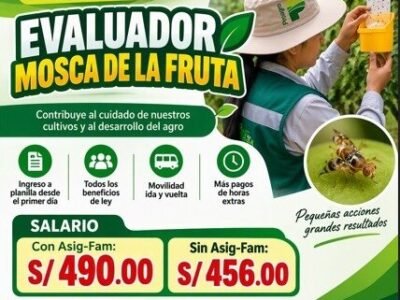 Evaluador de Mosca de la Fruta – Fundo Qolca (Proagro)