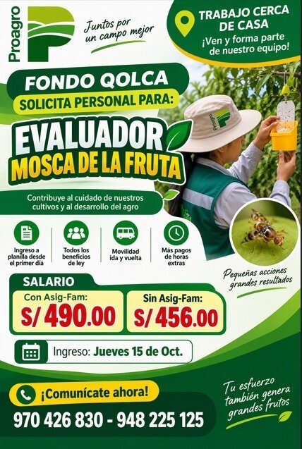 Evaluador de Mosca de la Fruta – Fundo Qolca (Proagro) - Imagen 1