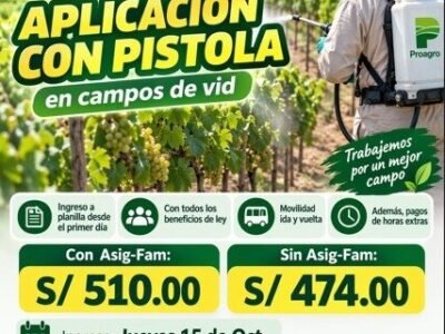 Aplicación con pistola en campos de vid – Fundo Qolca (Proagro)