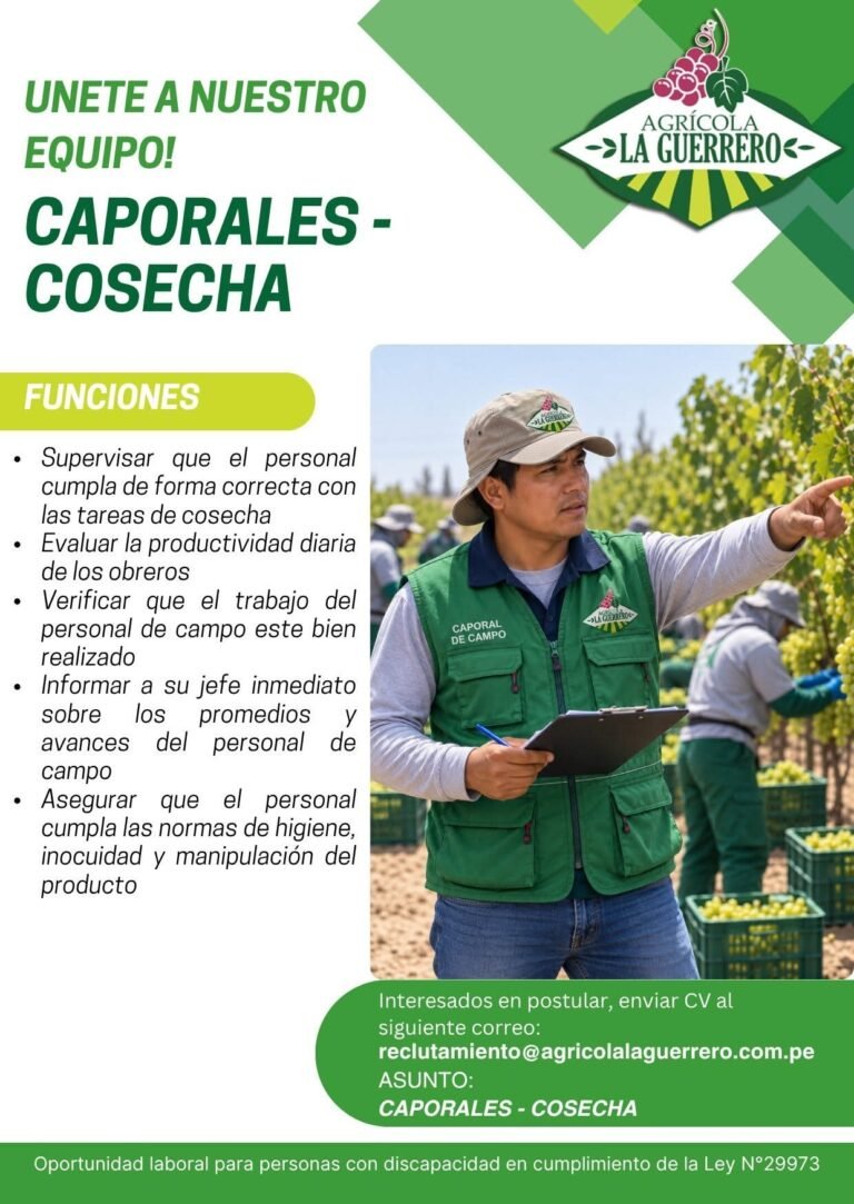 Caporales – Cosecha – Agrícola La Guerrero (Ica)
