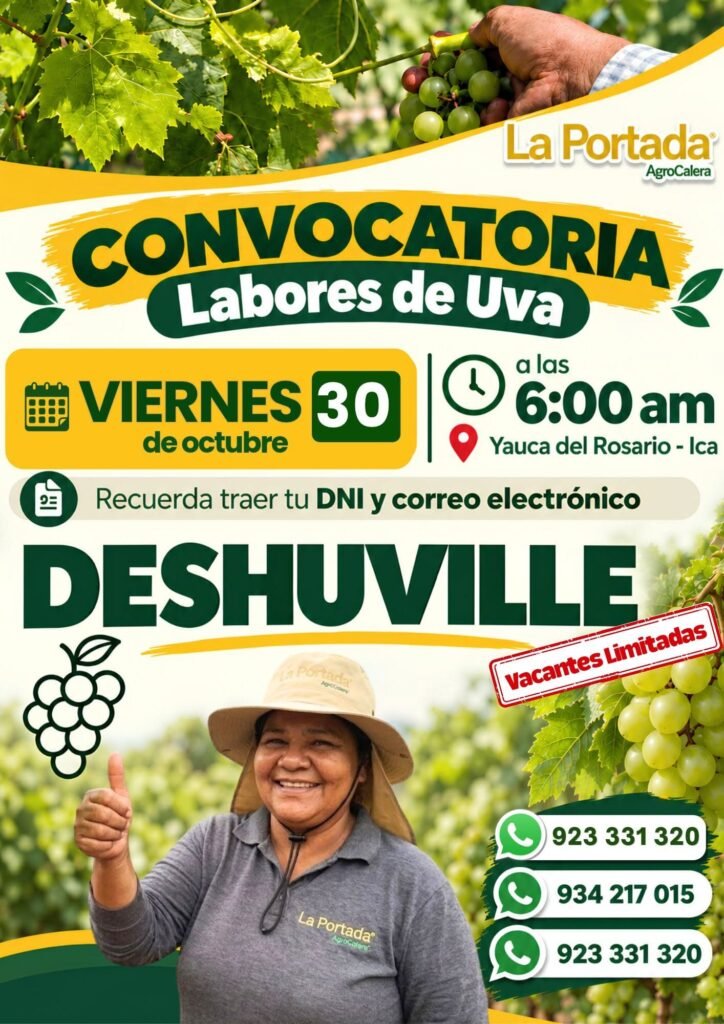 DESHUVILLE, MONTACARGUISTA, SOLDADOR Y OPERARIO DE CALIDAD – LA PORTADA (ICA) - Imagen 1