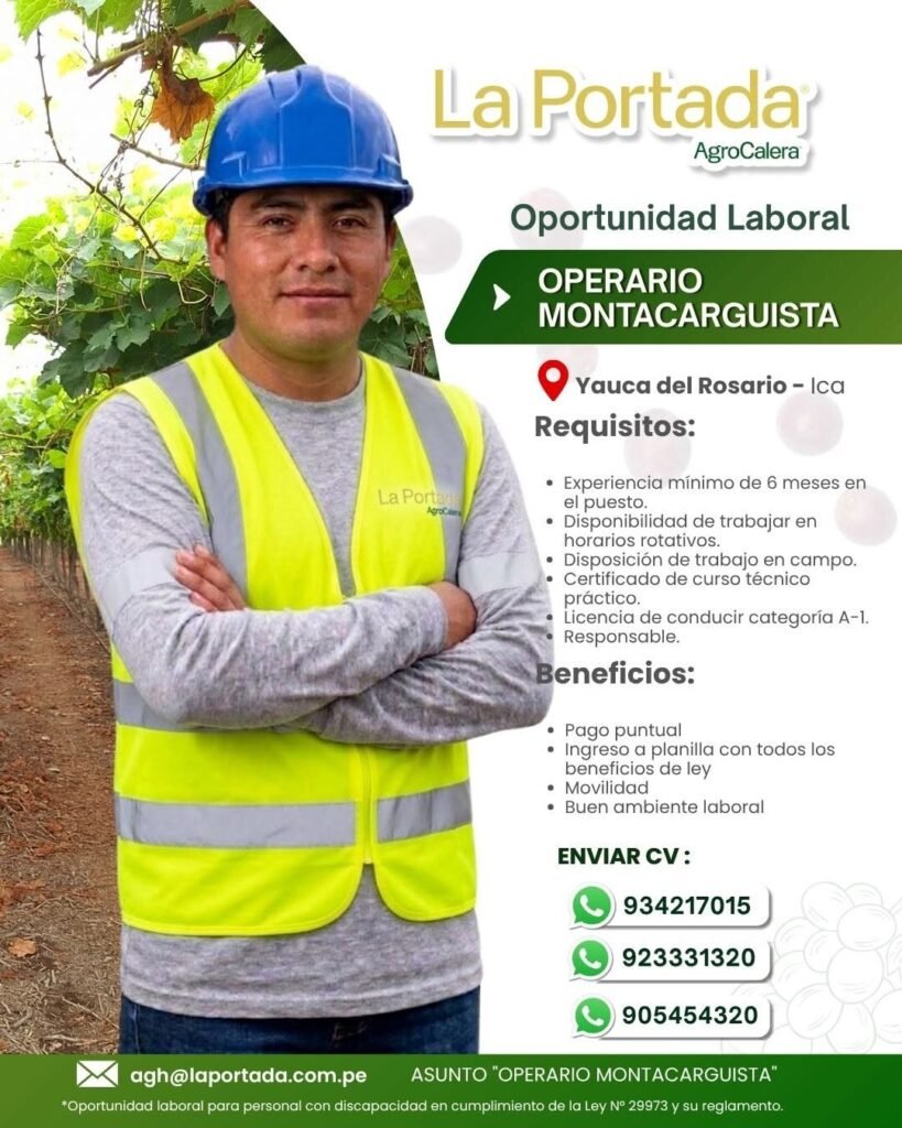 DESHUVILLE, MONTACARGUISTA, SOLDADOR Y OPERARIO DE CALIDAD – LA PORTADA (ICA) - Imagen 2