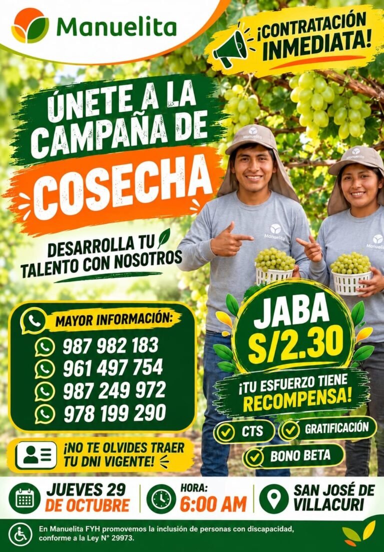 CAMPAÑA DE COSECHA DE UVA – MANUELITA (SAN JOSÉ DE VILLACURÍ)