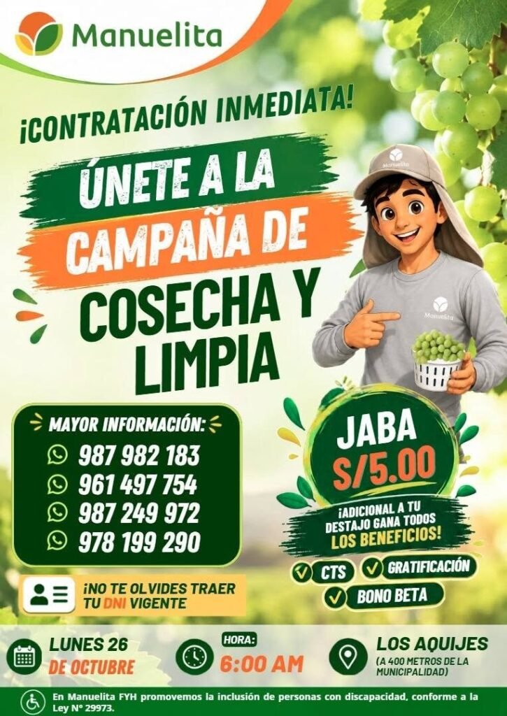 Cosecha y Limpia – Campaña de Uva (Manuelita) - Imagen 2
