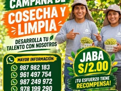 Campaña de Cosecha y Limpia de Uva – Manuelita – San José de Villacurí