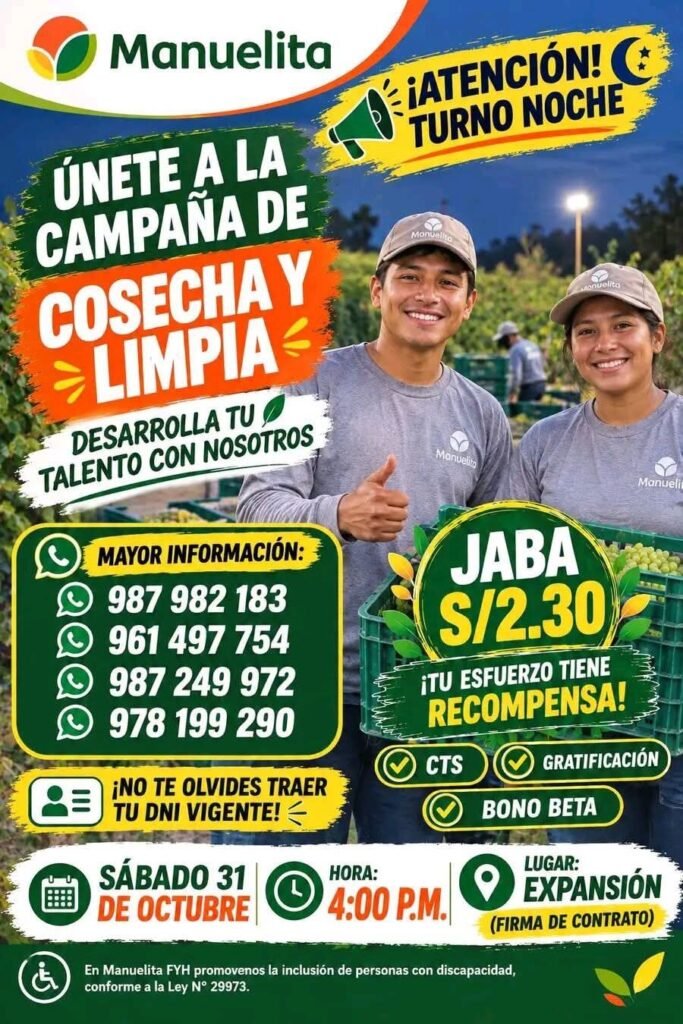 COSECHA Y LIMPIA TURNO NOCHE – MANUELITA (ICA) - Imagen 1