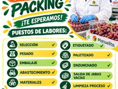 CAMPAÑA DE PACKING – MANUELITA – LOS AQUIJES, ICA