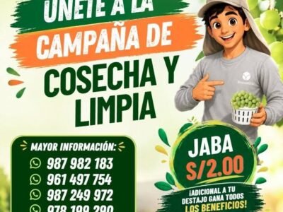Cosecha y Limpia – Campaña de Uva (Manuelita)