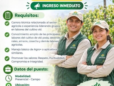 SUPERVISOR DE LABORES CULTIVO VID – MIRANDA – ICA