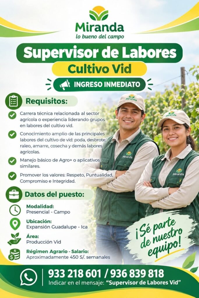 SUPERVISOR DE LABORES CULTIVO VID – MIRANDA – ICA - Imagen 1