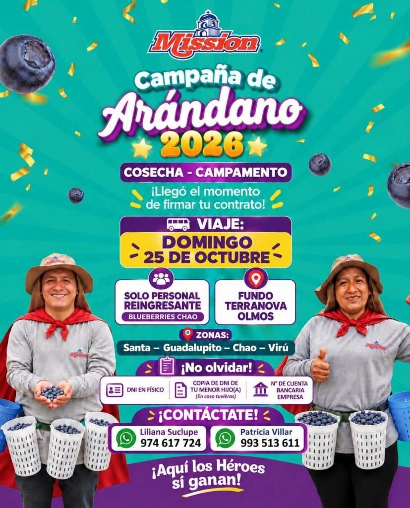 Campaña de Arándano 2026 – Mission, Cosecha con campamento (Olmos) - Imagen 1