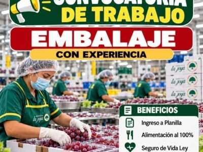 Convocatoria de Embalaje con experiencia – Fundo San Fernando