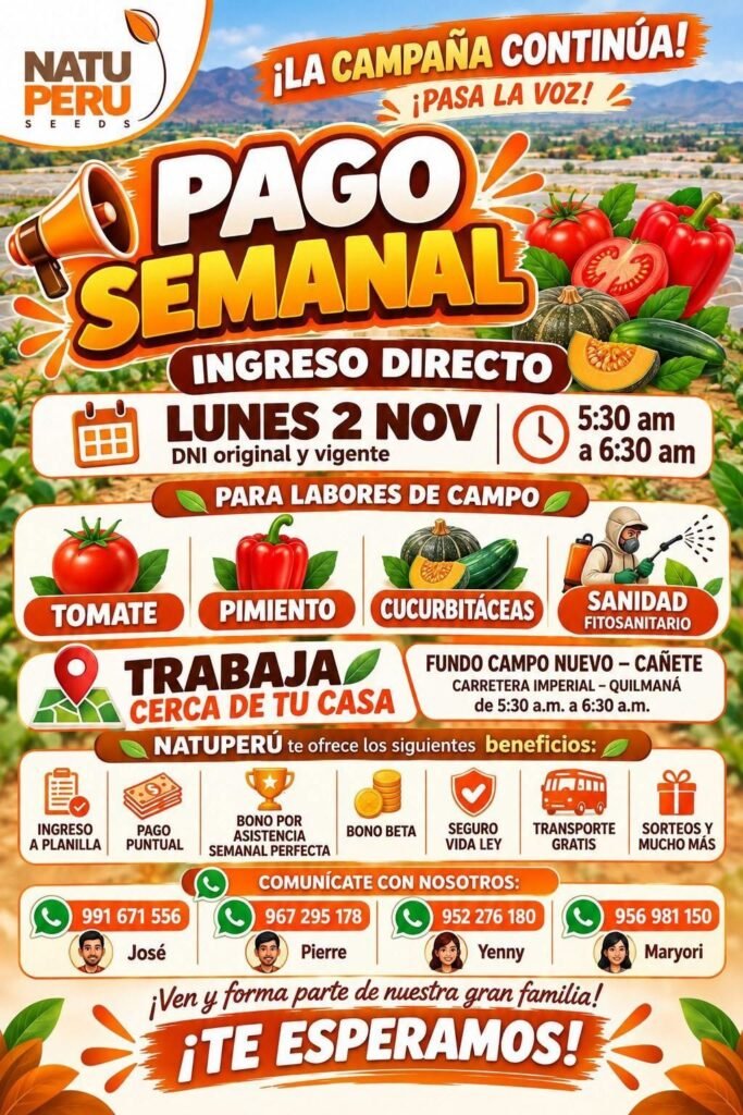 LABORES DE CAMPO TOMATE, PIMIENTO Y CUCURBITÁCEAS – NATU PERÚ (CAÑETE) - Imagen 1