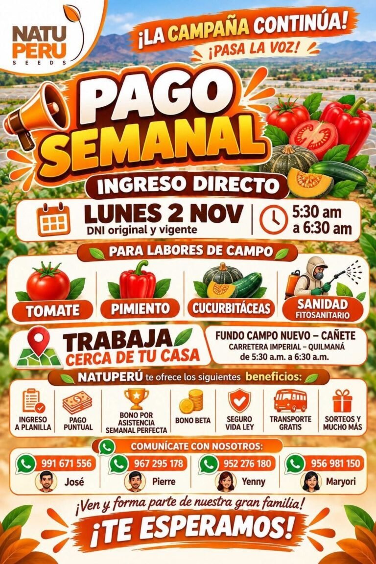 LABORES DE CAMPO TOMATE, PIMIENTO Y CUCURBITÁCEAS – NATU PERÚ (CAÑETE)