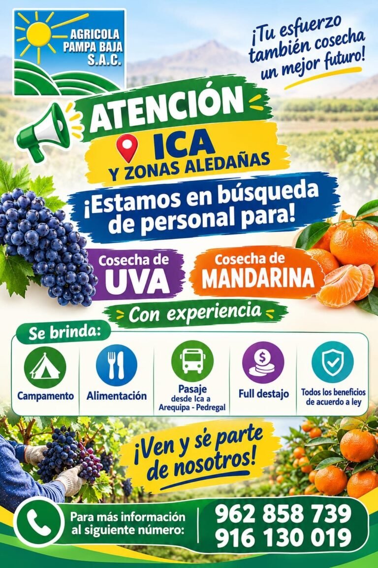 Cosecha de Uva y Mandarina – Agrícola Pampa Baja (Ica a Arequipa)