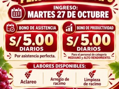PERSONAL DE CAMPO – PEDREGAL – LOS AQUIJES, ICA