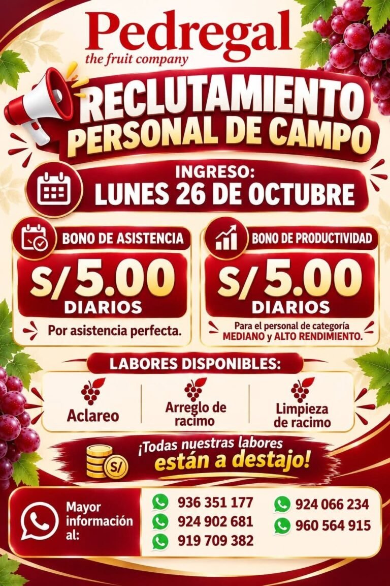 Personal de Campo – Aclareo, Arreglo y Limpieza de Racimo (Pedregal)